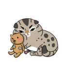 Master daily（個別スタンプ：5）