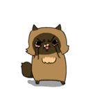 Master daily（個別スタンプ：6）