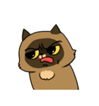 Master daily（個別スタンプ：7）