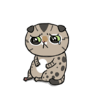 Master daily（個別スタンプ：8）