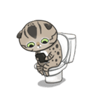 Master daily（個別スタンプ：11）