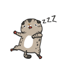 Master daily（個別スタンプ：12）