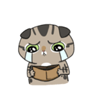 Master daily（個別スタンプ：13）