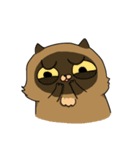 Master daily（個別スタンプ：14）