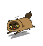 Master daily（個別スタンプ：16）