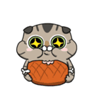 Master daily（個別スタンプ：17）