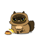 Master daily（個別スタンプ：19）