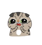 Master daily（個別スタンプ：20）