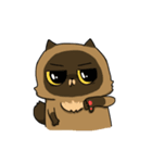 Master daily（個別スタンプ：21）