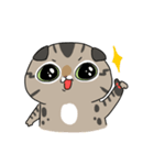 Master daily（個別スタンプ：22）