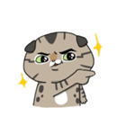 Master daily（個別スタンプ：23）