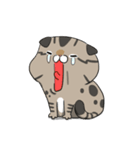 Master daily（個別スタンプ：25）