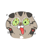 Master daily（個別スタンプ：26）