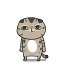 Master daily（個別スタンプ：27）
