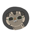 Master daily（個別スタンプ：28）