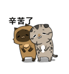 Master daily（個別スタンプ：29）