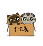 Master daily（個別スタンプ：30）