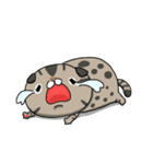 Master daily（個別スタンプ：31）