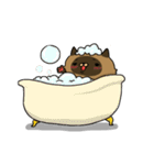 Master daily（個別スタンプ：32）