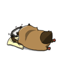 Master daily（個別スタンプ：33）