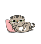 Master daily（個別スタンプ：34）