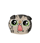 Master daily（個別スタンプ：35）
