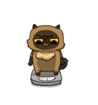 Master daily（個別スタンプ：37）