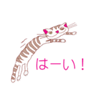 joy Nyanko every day（個別スタンプ：13）
