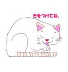 joy Nyanko every day（個別スタンプ：21）