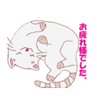 joy Nyanko every day（個別スタンプ：28）