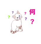 joy Nyanko every day（個別スタンプ：33）