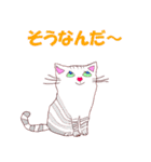 joy Nyanko every day（個別スタンプ：37）