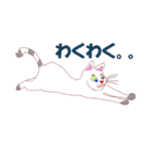 joy Nyanko every day（個別スタンプ：40）