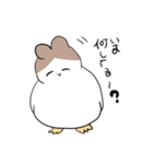 とりのかあさん（個別スタンプ：17）