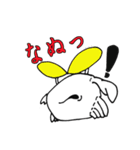 シロカニーゼ（個別スタンプ：11）