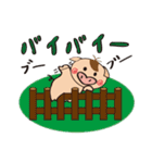 こぶたのひーくん（個別スタンプ：9）