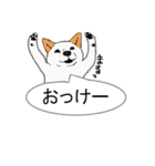 白柴犬のバニラちゃん（個別スタンプ：5）