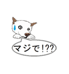 白柴犬のバニラちゃん（個別スタンプ：8）