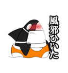 泳げないカーナとズッチー（個別スタンプ：38）