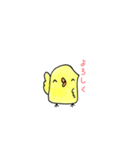 ぴーきち。（個別スタンプ：1）