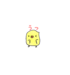 ぴーきち。（個別スタンプ：4）