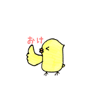 ぴーきち。（個別スタンプ：14）