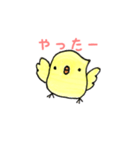 ぴーきち。（個別スタンプ：31）