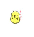 ぴーきち。（個別スタンプ：38）