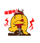 ミヤコン（個別スタンプ：38）