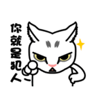 accurate cat（個別スタンプ：31）