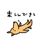 わんこタイム（個別スタンプ：29）