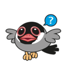 QQ Java Sparrow（個別スタンプ：9）