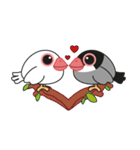 QQ Java Sparrow（個別スタンプ：32）