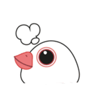 QQ Java Sparrow（個別スタンプ：38）